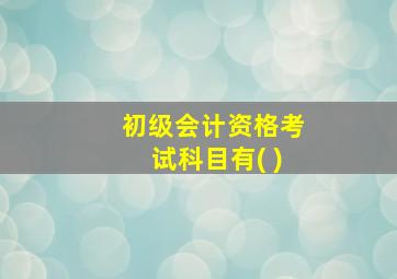 初级会计资格考试科目有( )